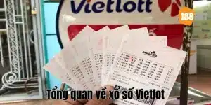 Xổ Số Vietlot - Cơ Hội Kiếm Tiền Bạc Tỷ Hấp Dẫn Tại 188Bet